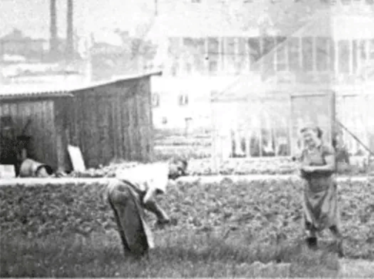geschichte1 geschichte1